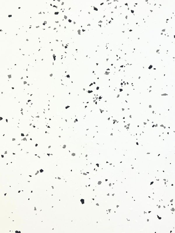 Terrazzo Flakes - Graphite